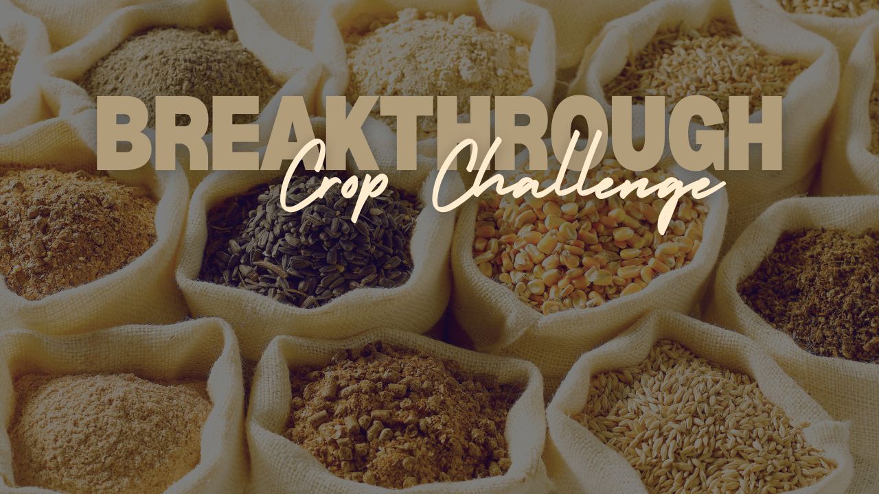 FFAR Breakthrough Crop Challenge