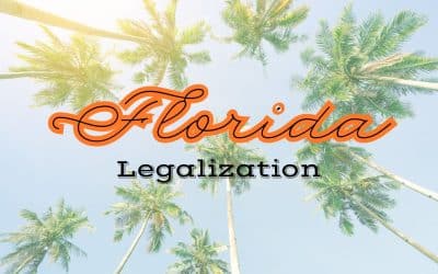 Florida Adult-Use Ballot Initiative: Getting into the Weeds with Dan Russell