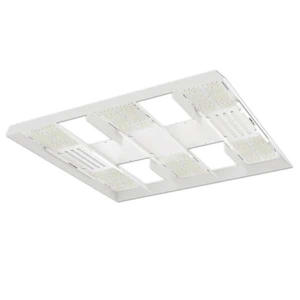 LEDs