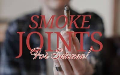 DaySavers and the Cannabis Research Coalition Want to Pay You to Smoke Joints for Science