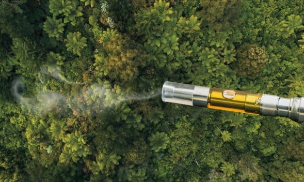 Finding Sustainable Solutions for Disposable Vapes is a Social Imperative