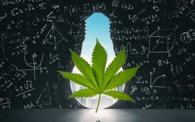 The Facts and The Future Of Delta-8 Laws