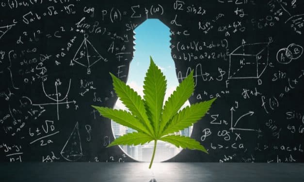 The Facts and The Future Of Delta-8 Laws