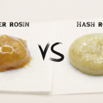 Flower Rosin vs. Hash Rosin: Differences, Temperature, and Which Is Better
