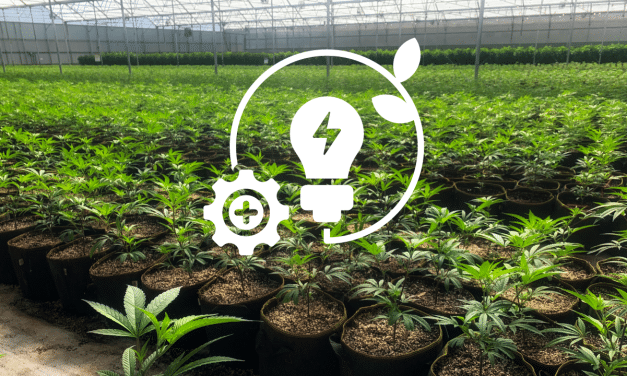 Energy Management Best Practices for Cannabis Greenhouses & Warehouses