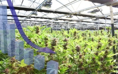Transformative SMARRT Approach to Reduce Energy Costs for Cannabis Cultivators
