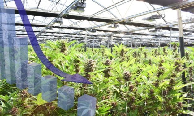Transformative SMARRT Approach to Reduce Energy Costs for Cannabis Cultivators