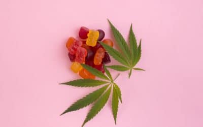 THCV for Weight Loss: A Growing Opportunity for Cannabis and Hemp Businesses