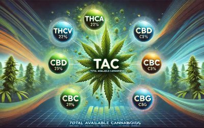 A Better Way to Measure Cannabis Potency: Why TAC (Total Available Cannabinoids) Matters