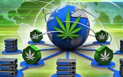 How APIs Empower New Cannabis Industry Service Providers