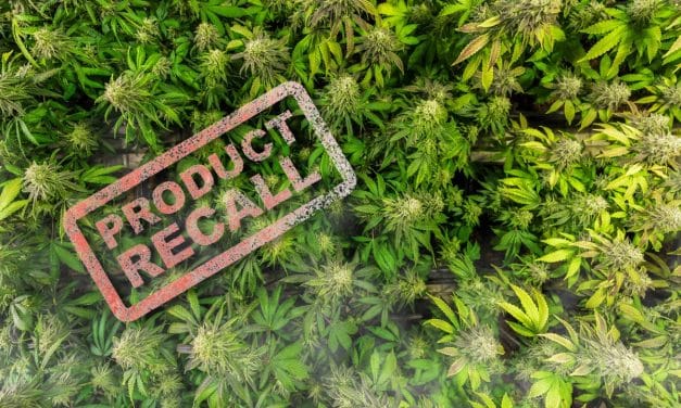A Need For Sustainability in the Cannabis Industry