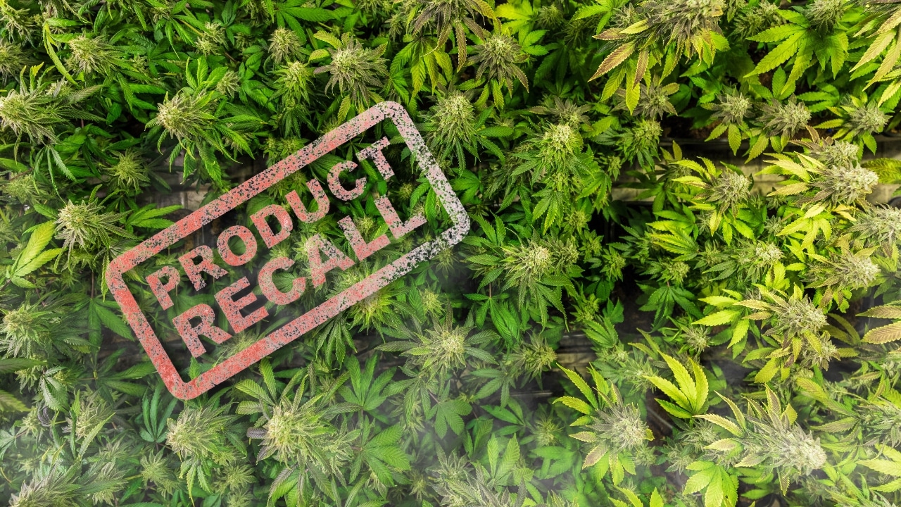Sustainability