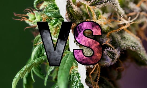 Marijuana’s War on Hemp-Derived Cannabinoids