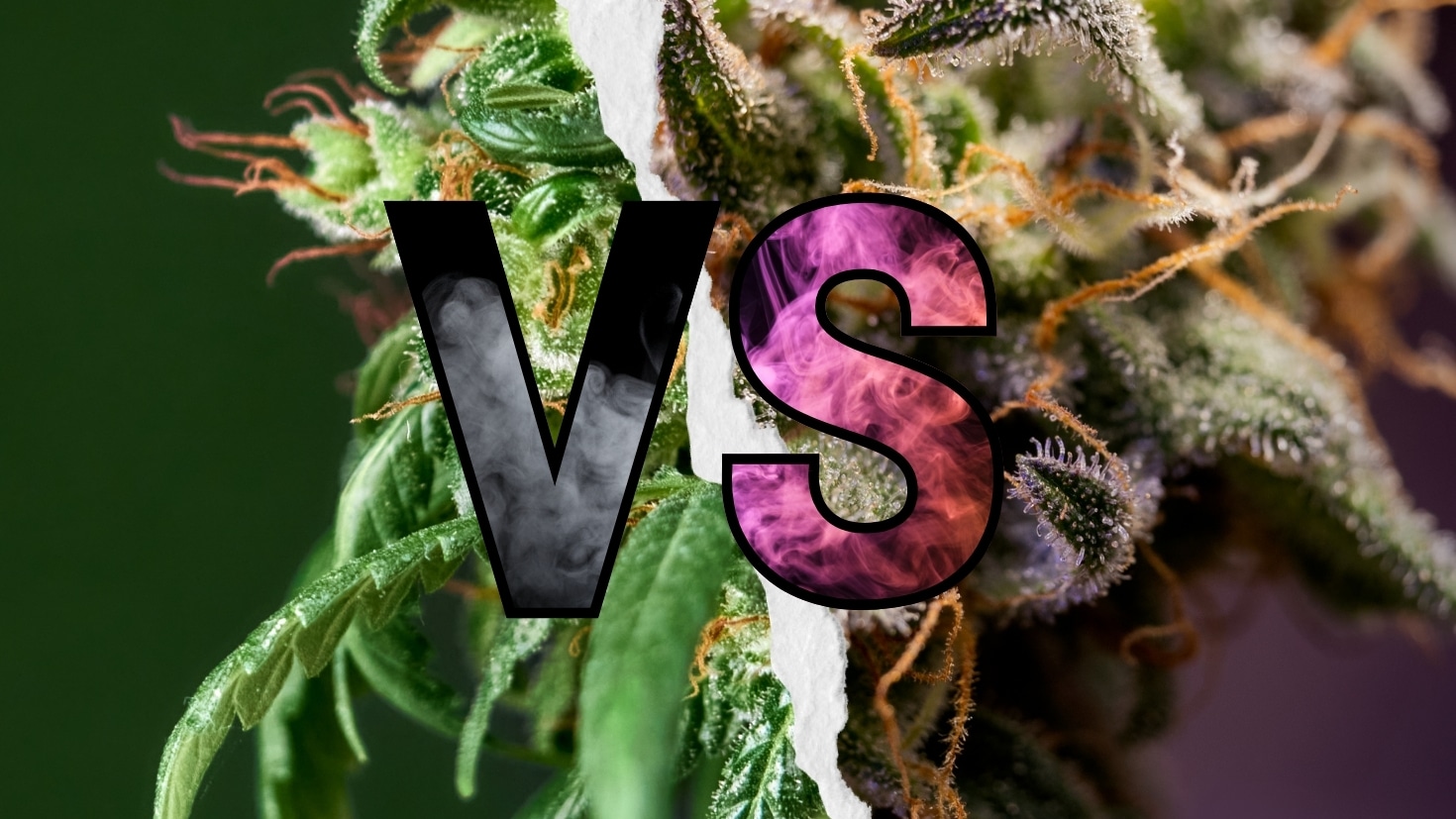 marijuana vs. hemp-derived cannabinoids