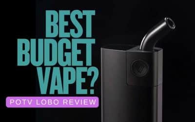 Best Budget THC Vape? POTV Lobo Review