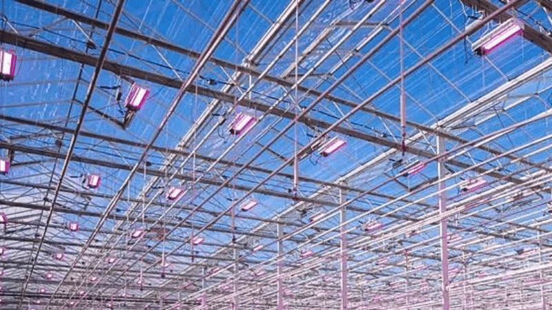Dynamic LED Lighting