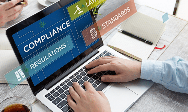 How Cannabis Insurance Facilitates Compliance and Risk Management?