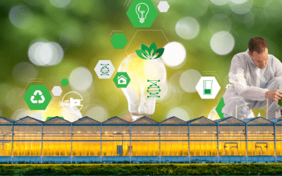 Cannabis and Hemp Innovation to Help Reimagine Recovery and Food Security