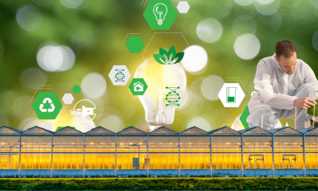 Cannabis and Hemp Innovation to Help Reimagine Recovery and Food Security