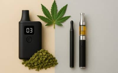Dry Herb vs. Oil Cartridges: What’s Better for Cannabis Vaping