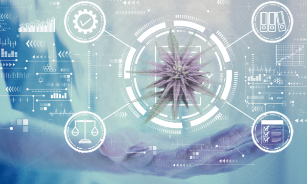 Beyond Banking: How Safe Harbor Financial and Würk Are Reshaping Cannabis Finance