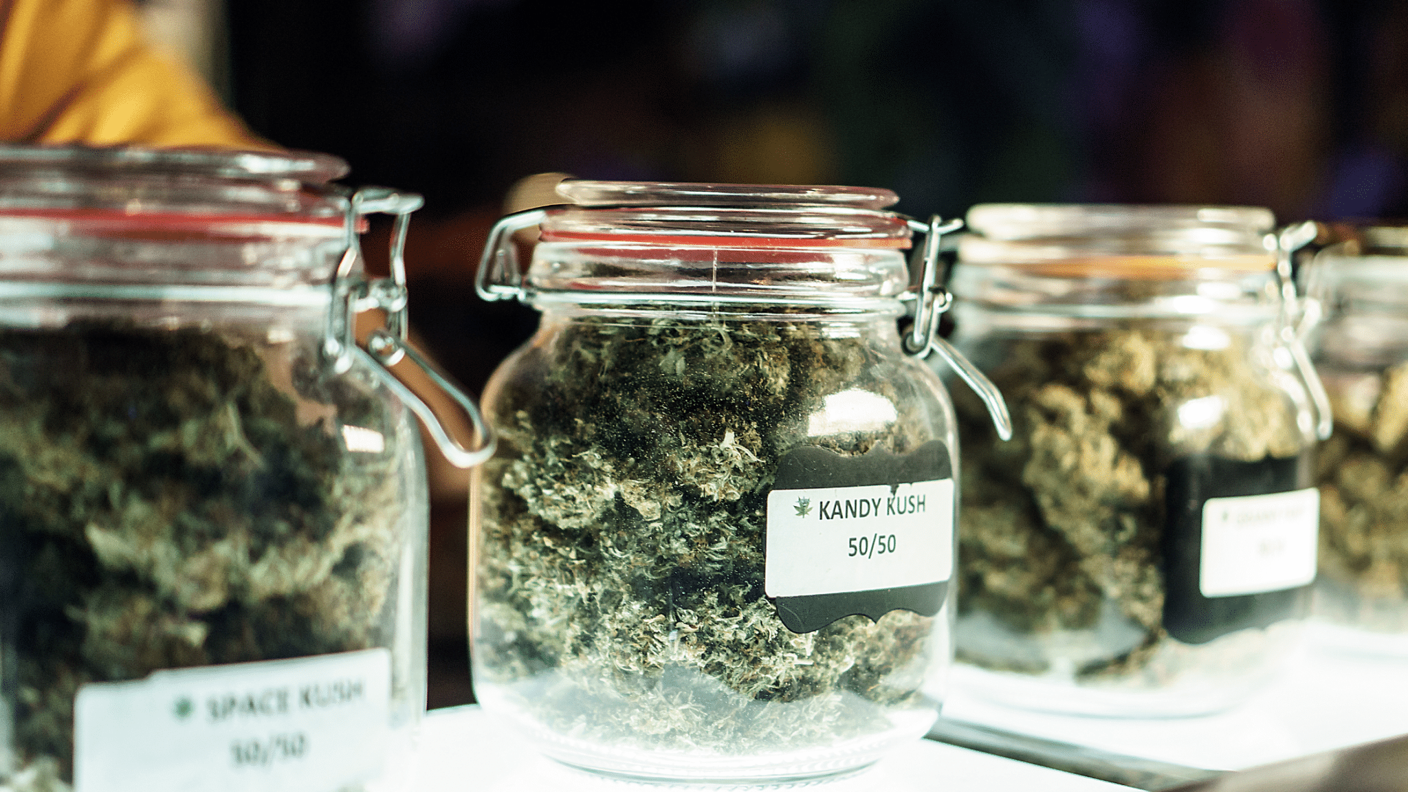 How to be your own cannabis Sommelier header. Jars of cannabis on a shelf
