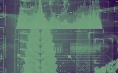 Cannabis Technology Innovations in Agriculture, Retail, and Supply Chain Management
