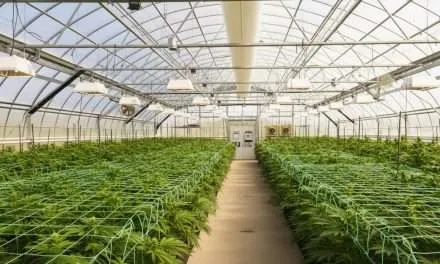 Data-Driven Hybrid Greenhouse: How Automation, Sensors, and AI Boost Yield, Cut Costs, and Improve Compliance