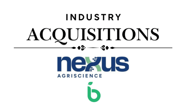 Nexus Agriscience Acquires Biotech Institute Hemp IP to Expand Molecular Farming Platform