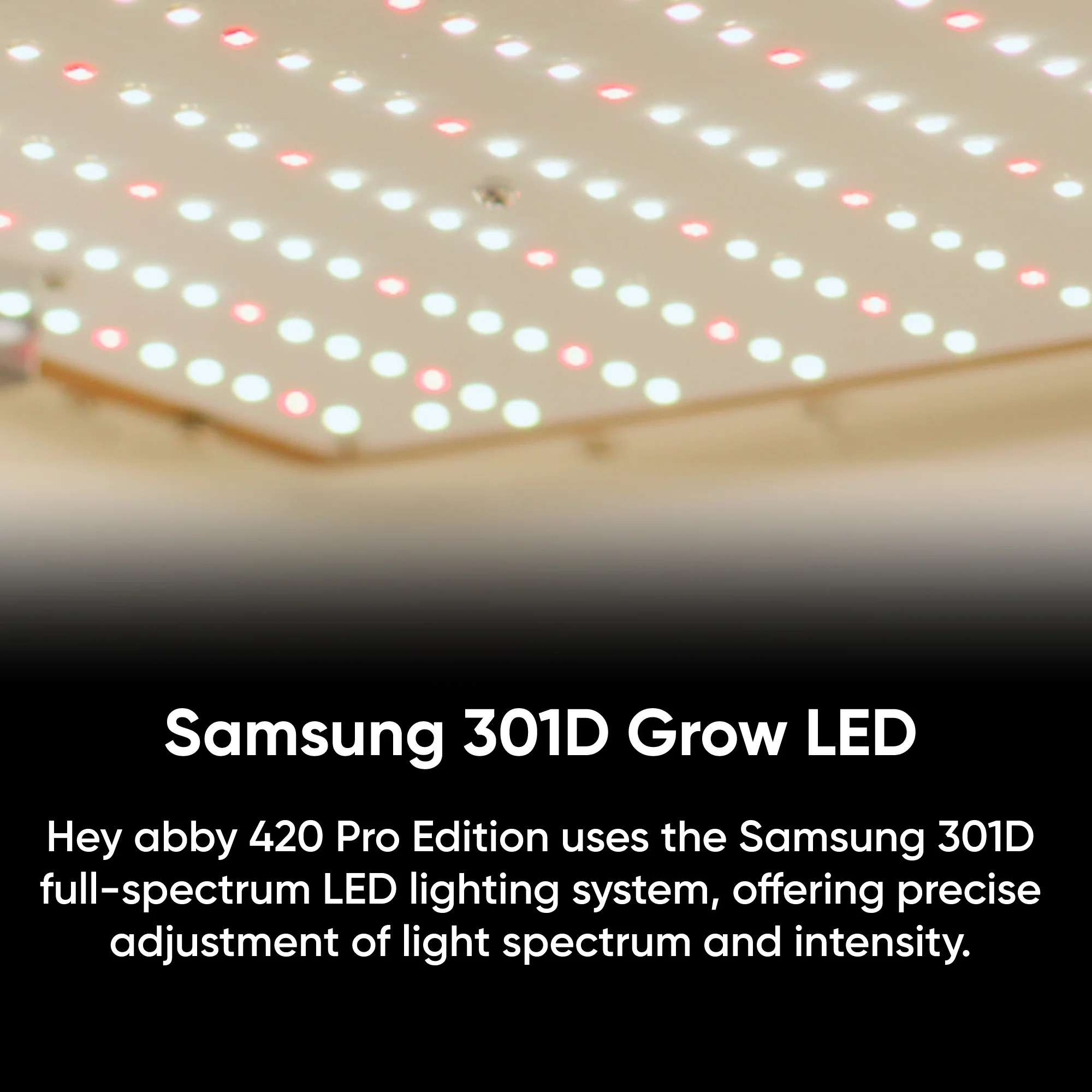 Hey abby Grow Box 420 Pro Edition - Image 4
