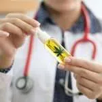 Patients Choose Online MMJ Care Over Traditional Clinics