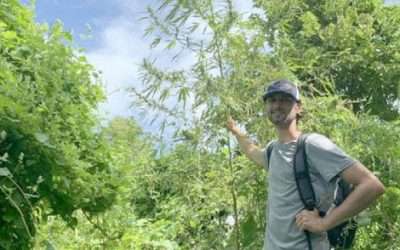 Explore the industrial hemp growing industry at Feb. 25 SIU event