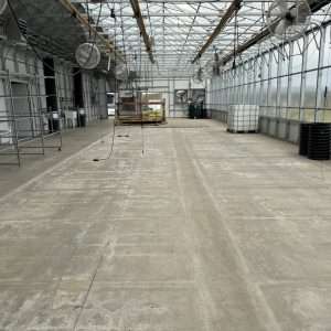 Greenhouse