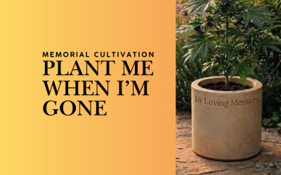 Memorial Cultivation Is a Consumer Category First. The Industry Opportunity Follows