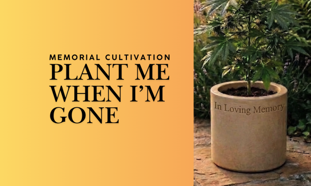 Memorial Cultivation Is a Consumer Category First. The Industry Opportunity Follows