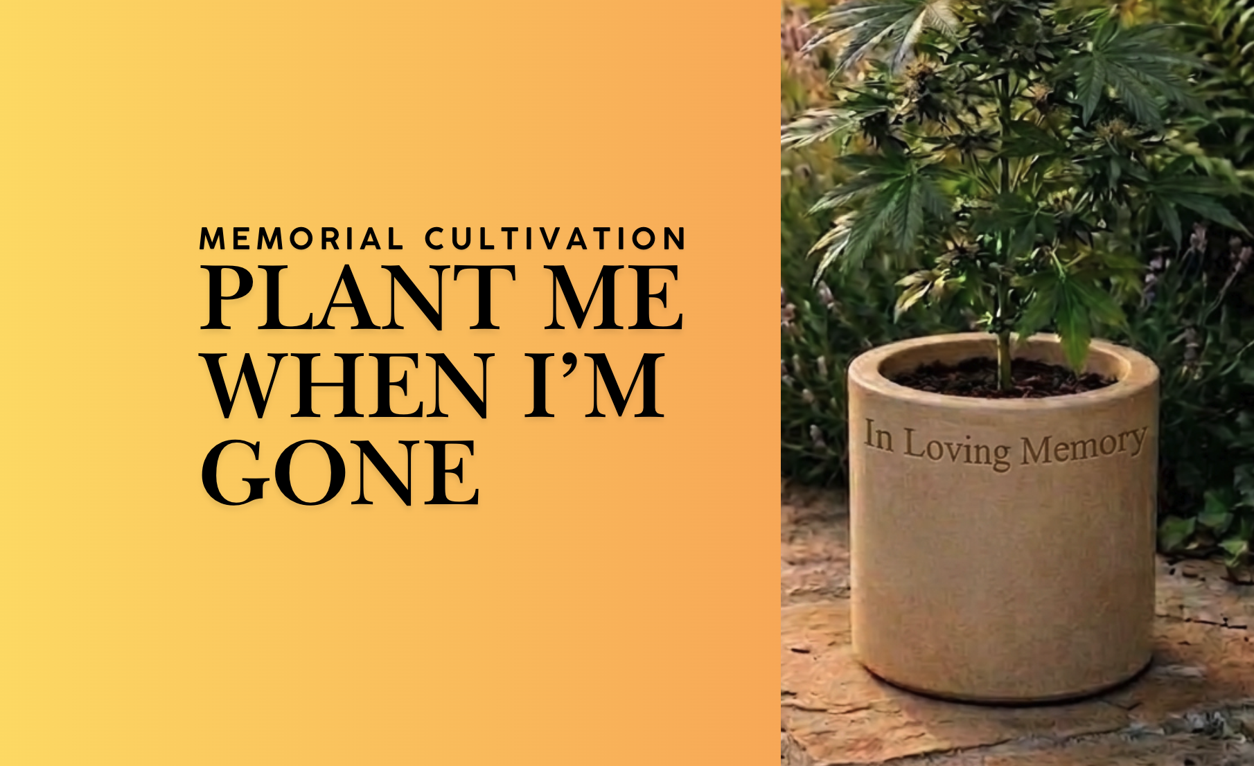 Memorial Cultivation