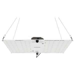 HLG 100 V2 LED Grow Light