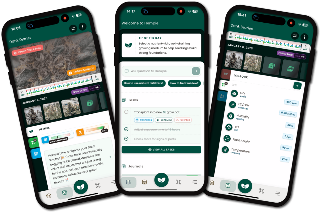 Hempie AI-powered cannabis growing companion app