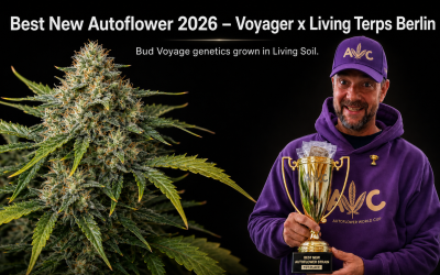 Best New Autoflower 2026: “Voyager” Wins With Living Terps Berlin’s Living Soil
