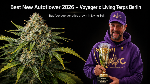 Best New Autoflower 2026: “Voyager” Wins With Living Terps Berlin’s Living Soil