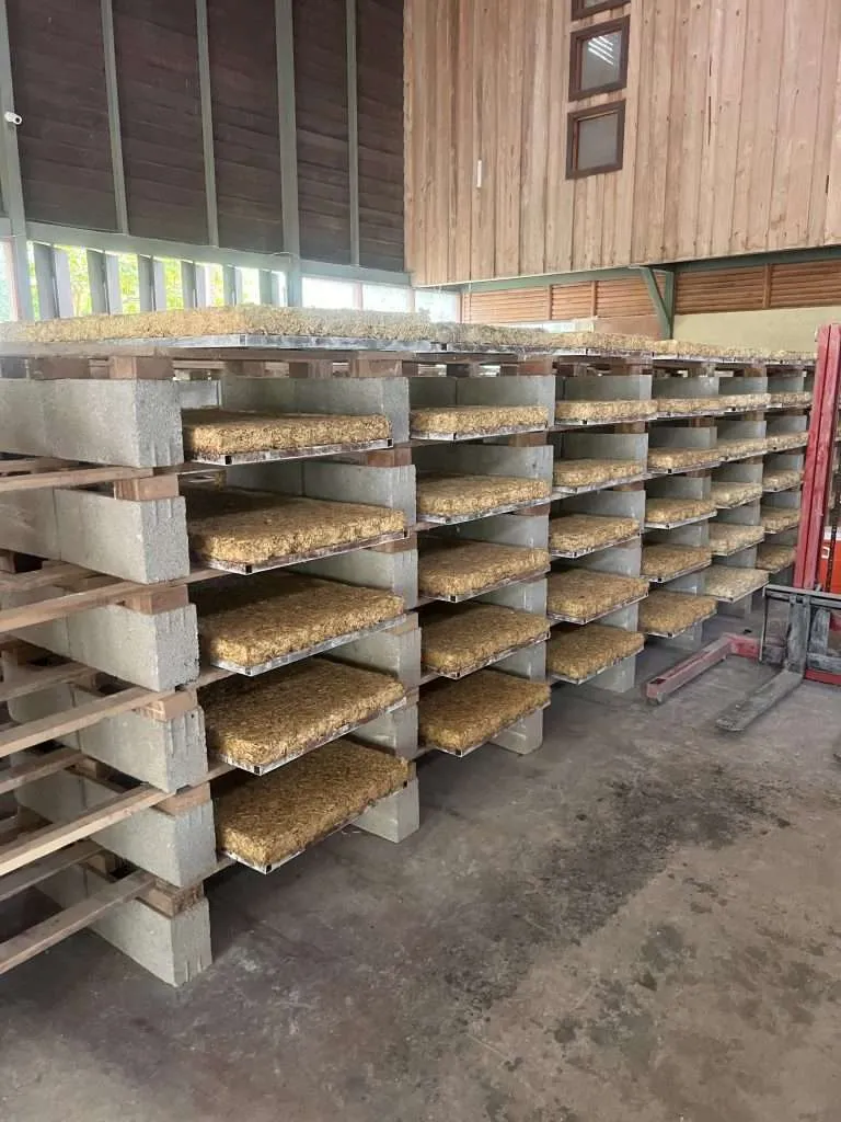 curring hempcrete panels