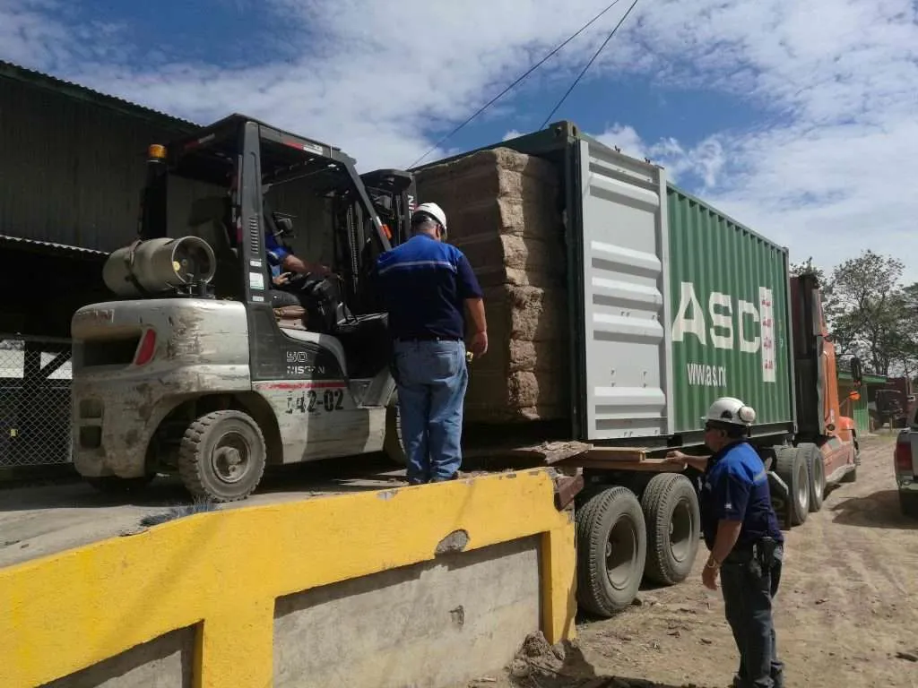Bagasse shipment