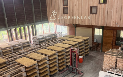From Hempcrete to Bagacrete: How Zegreenlab Turned Costa Rican Sugarcane Waste Into a Building Material