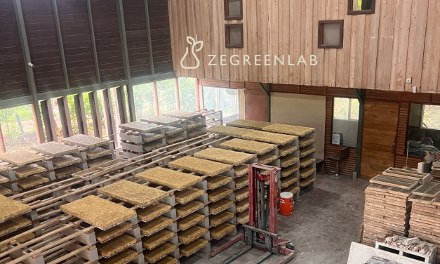 From Hempcrete to Bagacrete: How Zegreenlab Turned Costa Rican Sugarcane Waste Into a Building Material