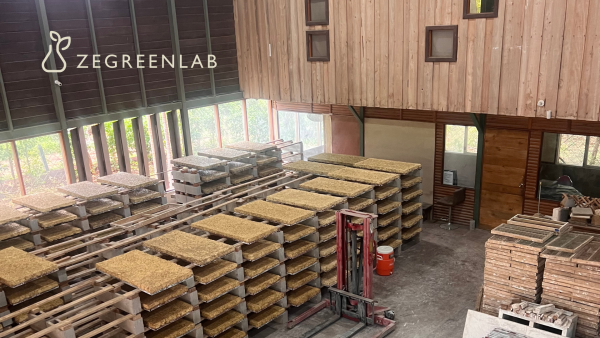 From Hempcrete to Bagacrete: How Zegreenlab Turned Costa Rican Sugarcane Waste Into a Building Material