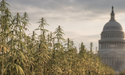 Congress Is Looking for a Hemp Reset. Can One Proposal Bring the Industry Together? 